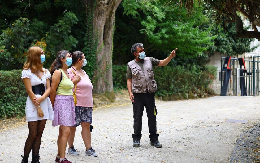 Imagem mostra uma das visitas a decorrer no Jardim Botânico de Lisboa. Um jardinero mostra a três visitantes um dos exemplares de Dragoeiro. 